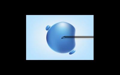 На какой день перенос эмбрионов наиболее рационален?