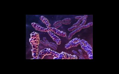 Аномалии половых хромосом