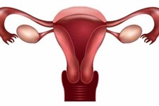 Дисфункция яичников и народные методы ее лечения Дисфункция яичников и народные методы ее лечения