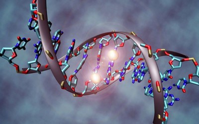 10 интересных фактов о ДНК