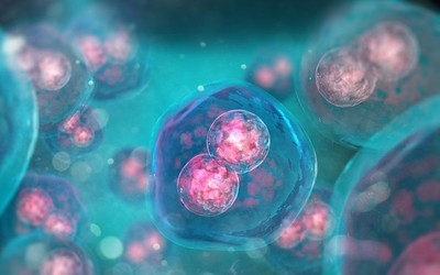 Микровибрационное  культивирование эмбрионов