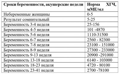 3 акушерская неделя беременности