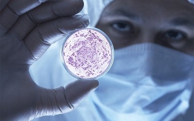 Влияние размеров фолликулов на возможность зачатия Влияние размеров фолликулов на возможность зачатия
