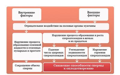 Глобальный кризис мужской фертильности: данные международного исследования