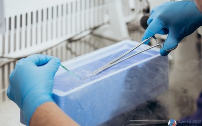 А как у них: владельцы клиник репродукции Великобритании скрывают правду от пациенток