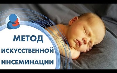 Embedded thumbnail for Искусственная инсеминация