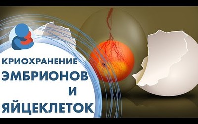 Embedded thumbnail for  Как влияет криоконсерация на качество эмбрионов? 