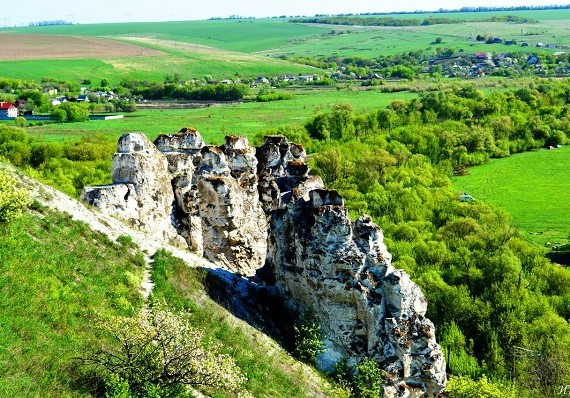 В Воронежской области родилось 172 ЭКО-малыша